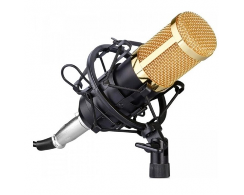 Микрофон вокальный студийный конденсаторный с креплением Professional Condenser Microphone BM-800