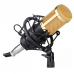 Микрофон вокальный студийный конденсаторный с креплением Professional Condenser Microphone BM-800