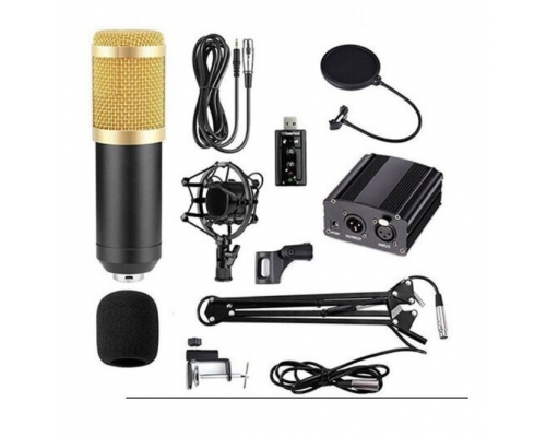 Микрофон вокальный студийный конденсаторный с креплением Professional Condenser Microphone BM-800