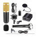 Микрофон вокальный студийный конденсаторный с креплением Professional Condenser Microphone BM-800