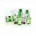 Набор из 5 средств для лица с Алоэ Вера Bioaqua 5-set Refresh & Moisture Aloe Vera 92%