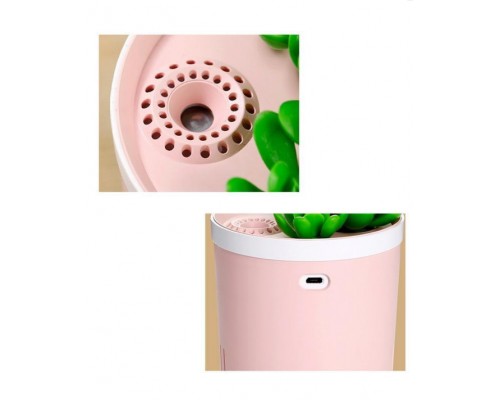 Увлажнитель и ароматизатор воздуха - ночник Succulent Humidifier