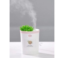 Увлажнитель и ароматизатор воздуха - ночник Succulent Humidifier