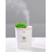 Увлажнитель и ароматизатор воздуха - ночник Succulent Humidifier